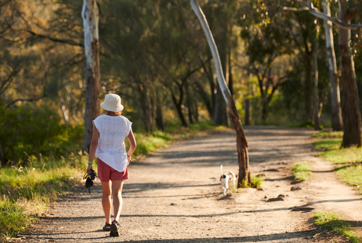 Yarra Bend Park